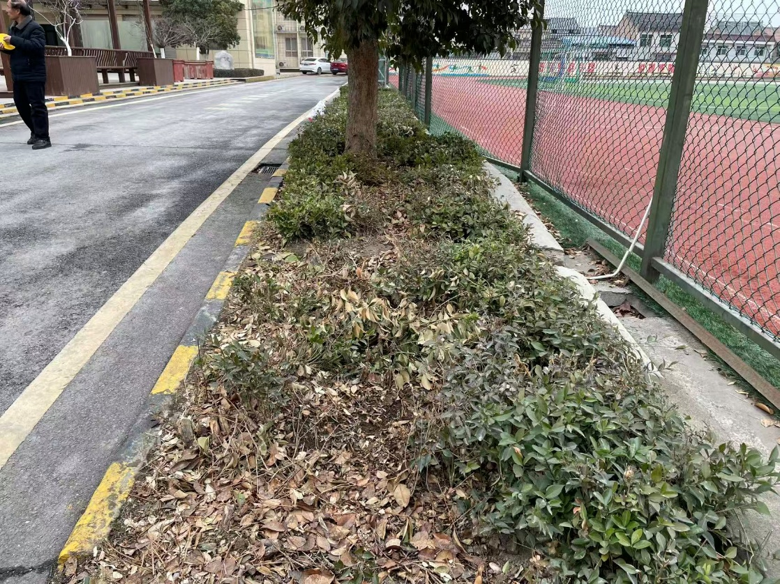 看臺座椅設計前現場測量